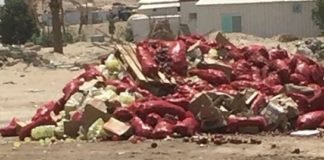 منوبة: إقرار إتلاف 110 أطنان من الحبوب
