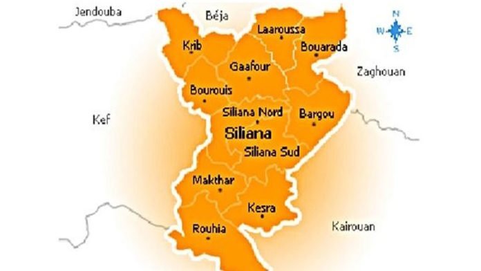 siliana_49